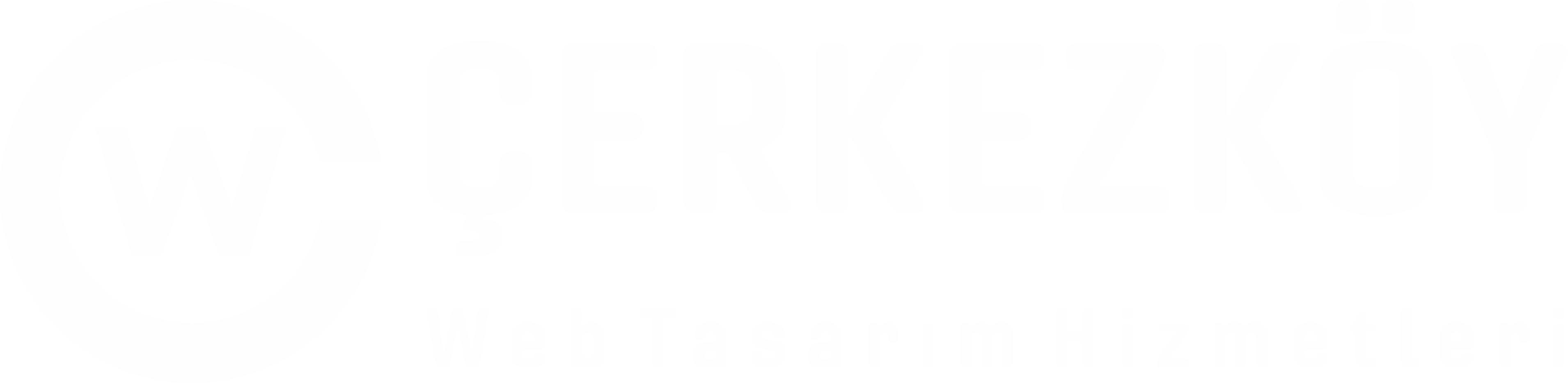 Cwt Yazılım v28